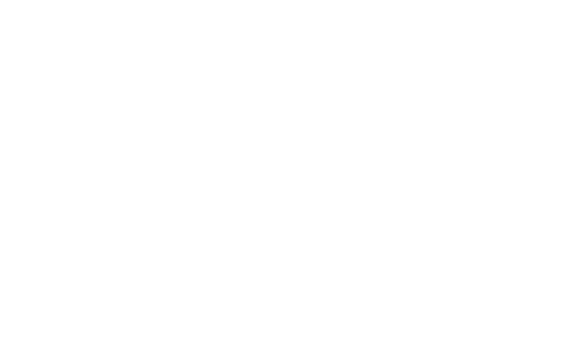About Labubu